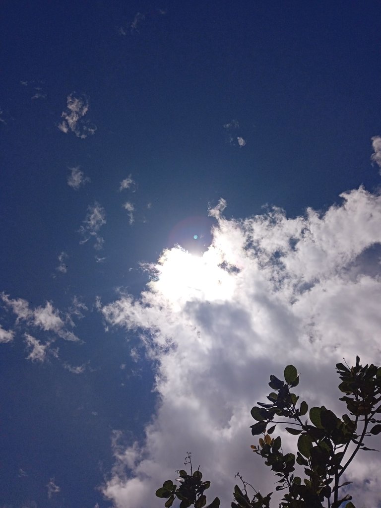 IMG_20220615_130431.jpg