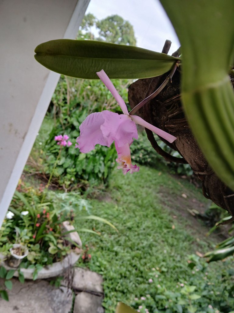 20250608_070551.jpg