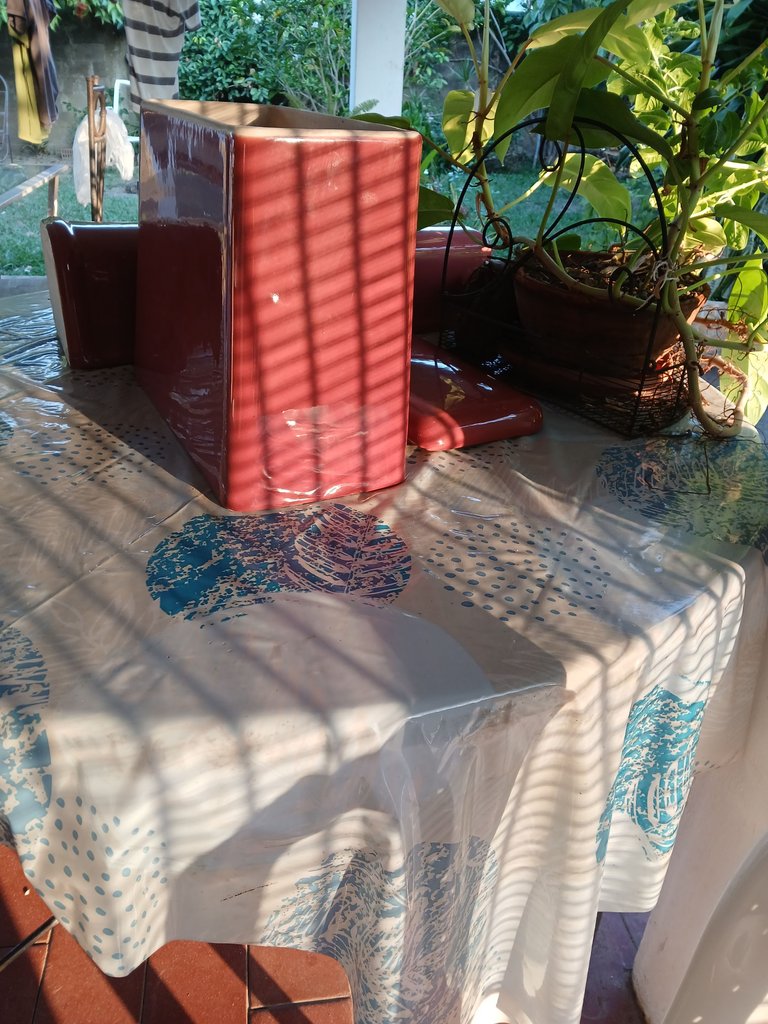 20250417_070618.jpg