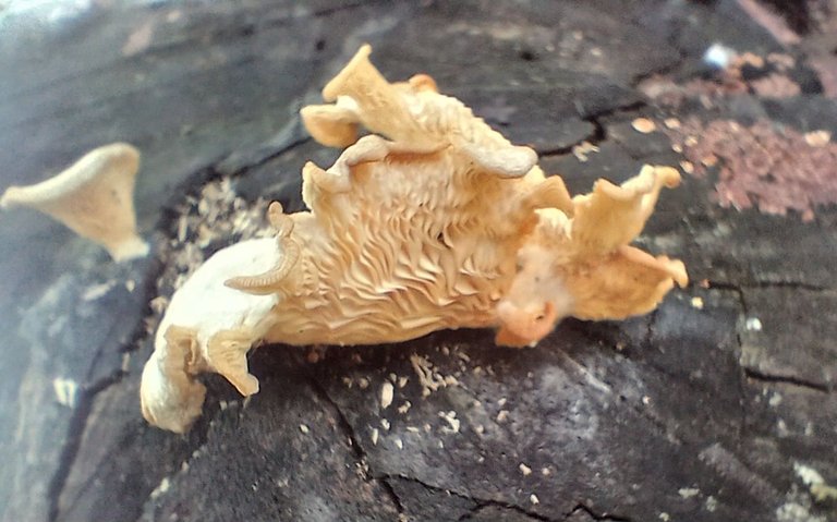 20250808_135438.jpg