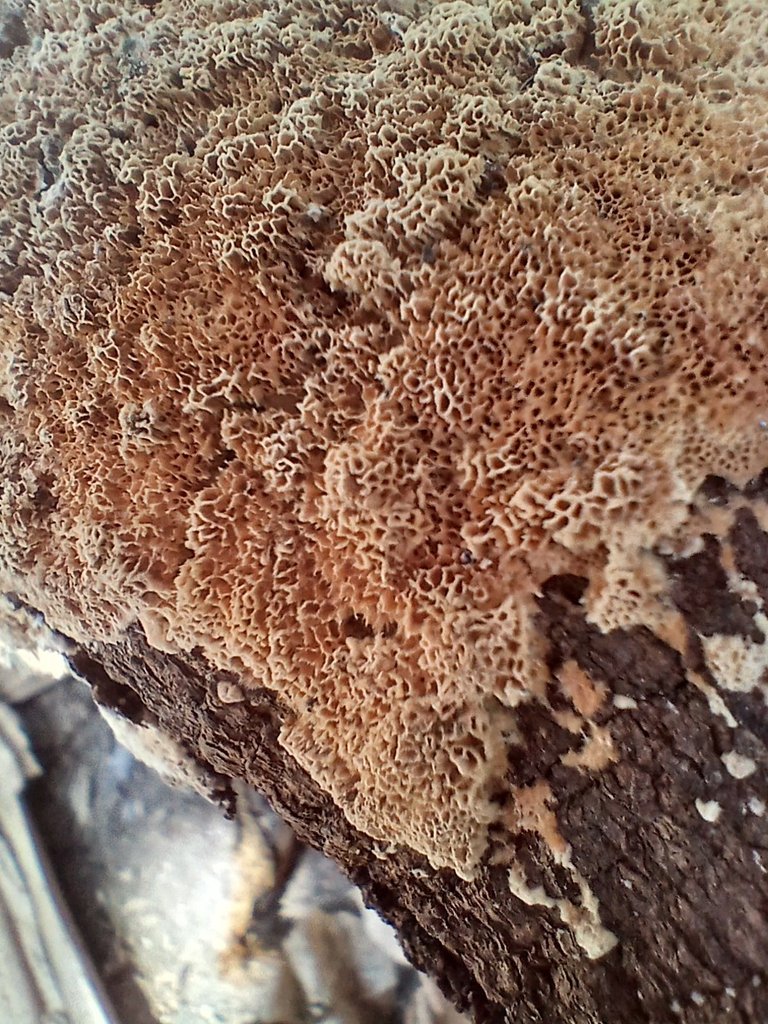 20250415_140140.jpg