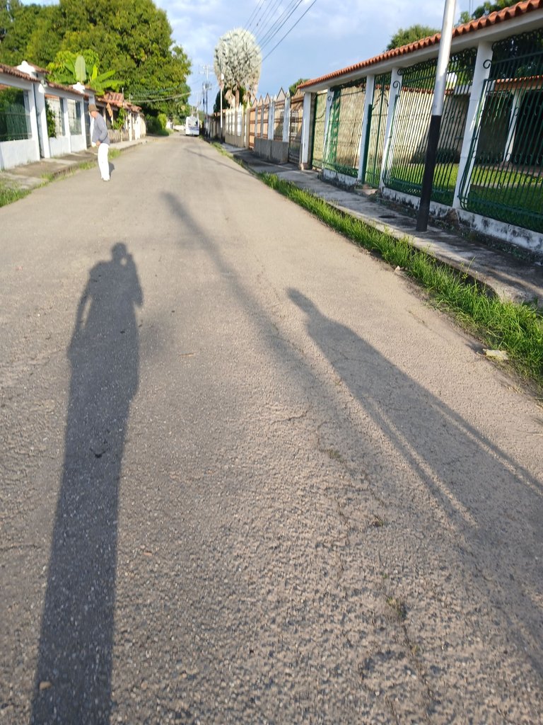20250605_175528.jpg
