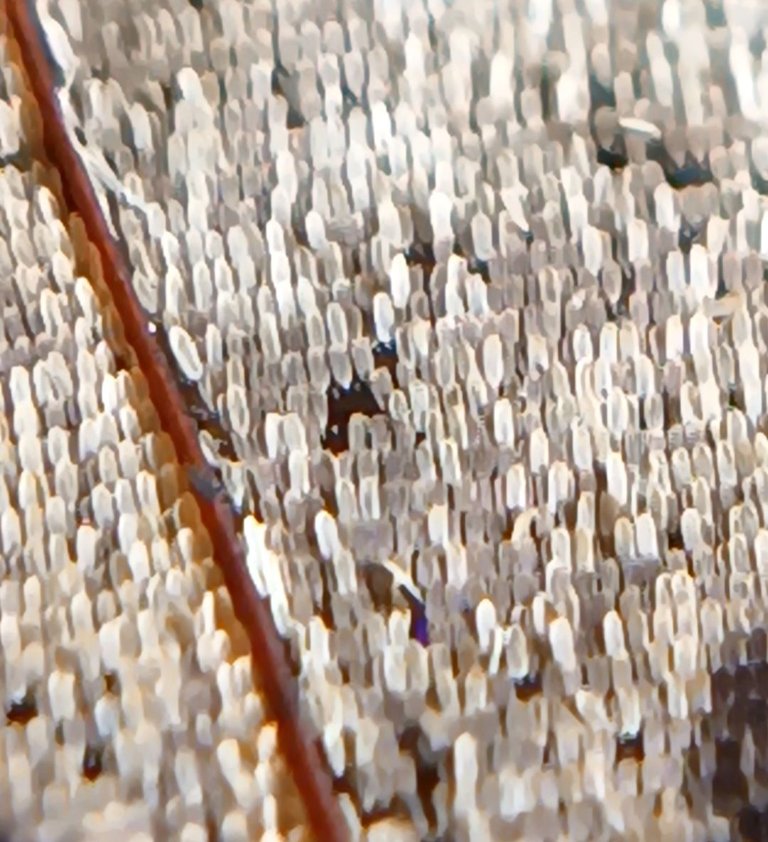 20250809_094514.jpg