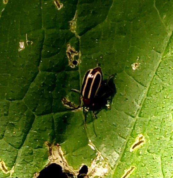 20250630_171024.jpg