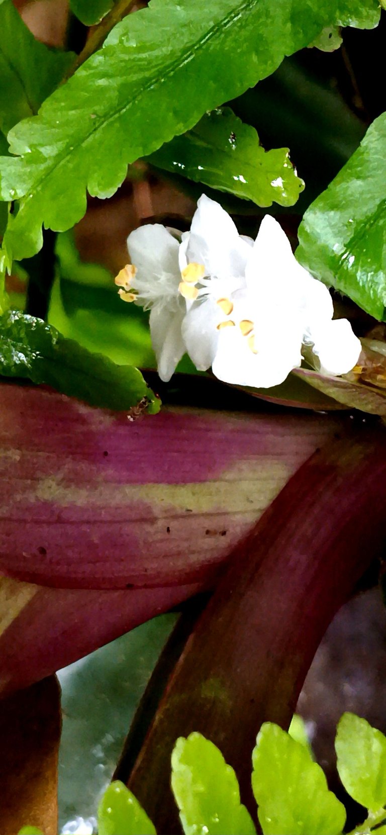 20250420_090321.jpg