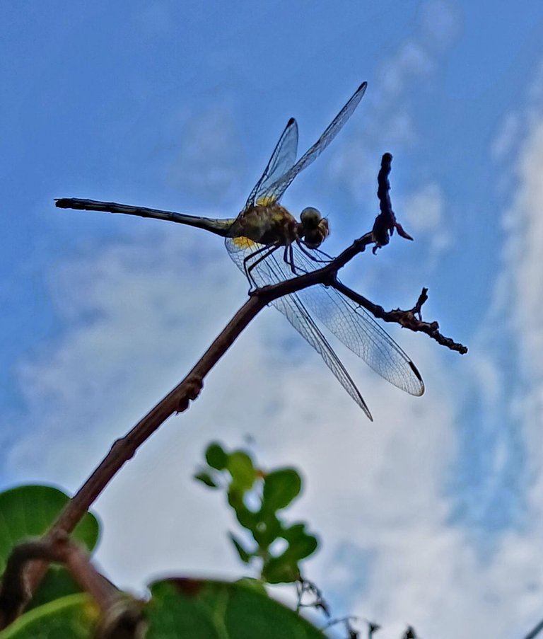 20250429_204908.jpg