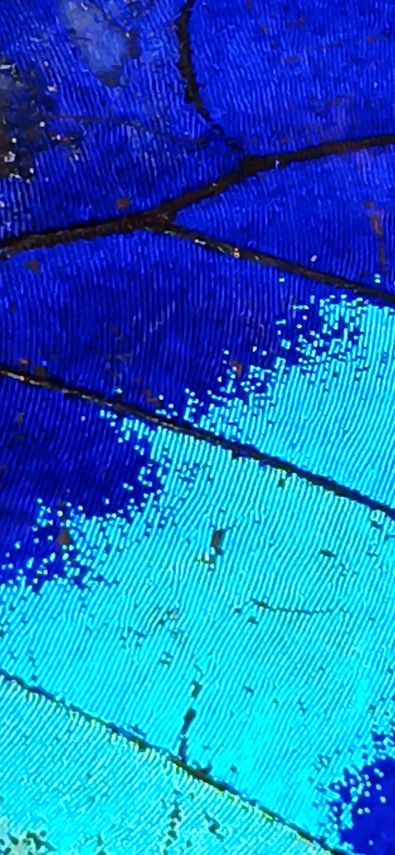 20250809_092543.jpg