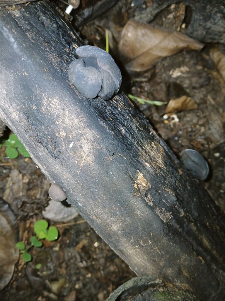 20250916_075835.jpg