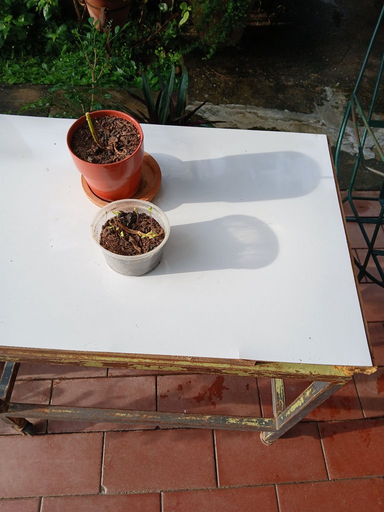 20250623_173451.jpg