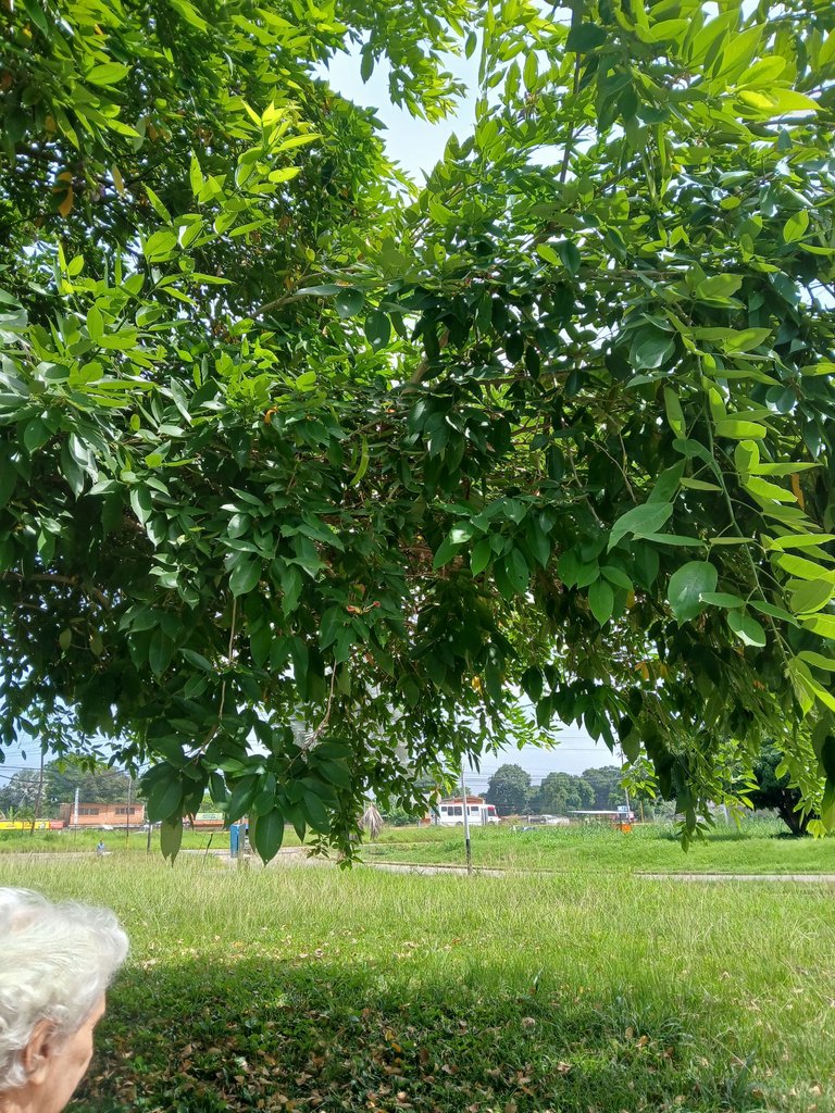 20250813_101837.jpg