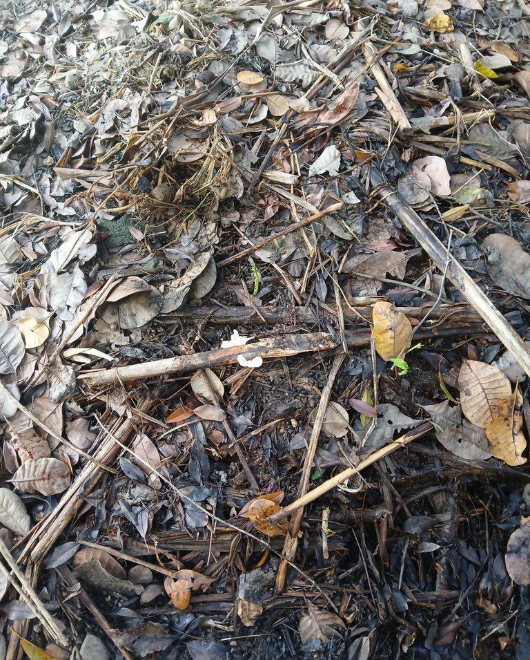 20250828_083249.jpg