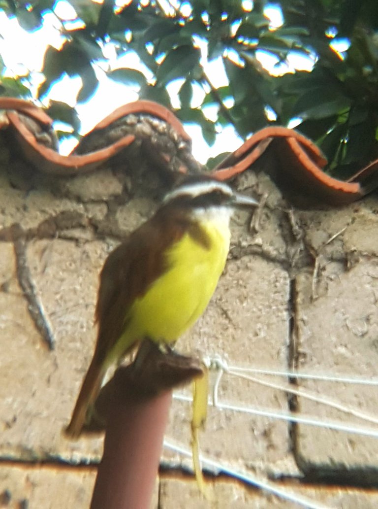 20220820_120245.jpg