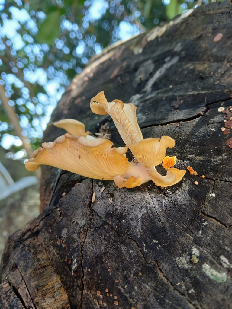 20250806_093106.jpg