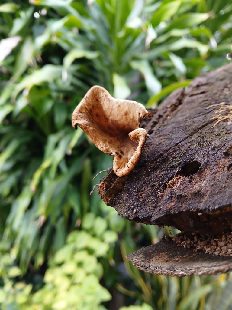 20250608_070534.jpg