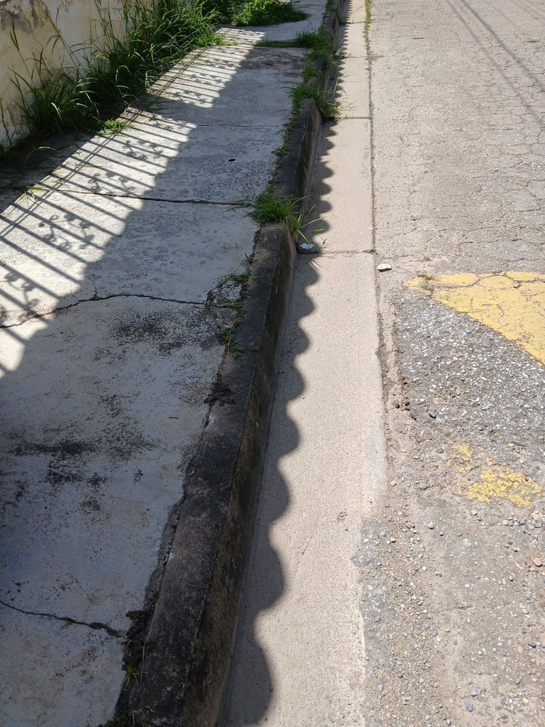 20250627_104902.jpg