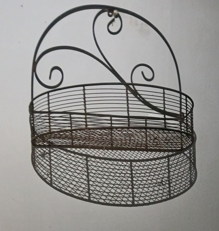 20250728_195027.jpg