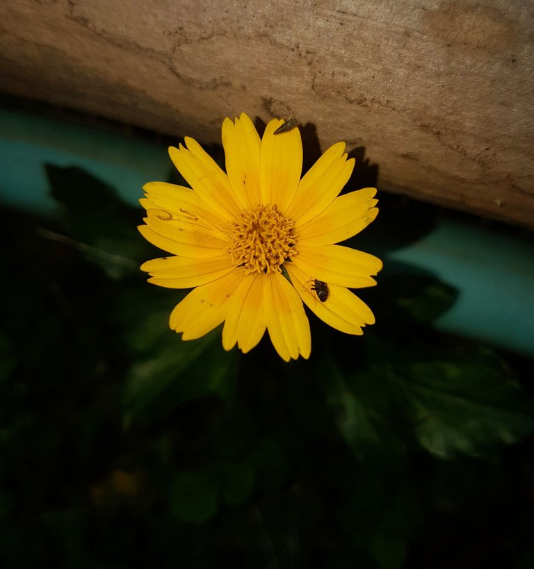 20201006_113159~2.jpg