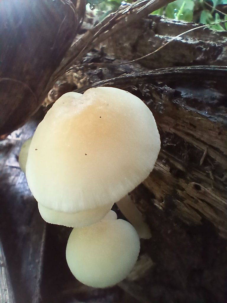 20250602_082943.jpg