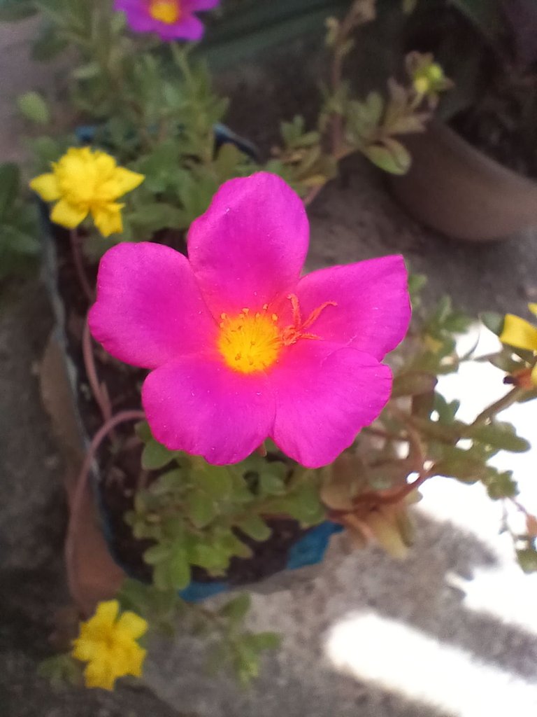 20250805_121327.jpg