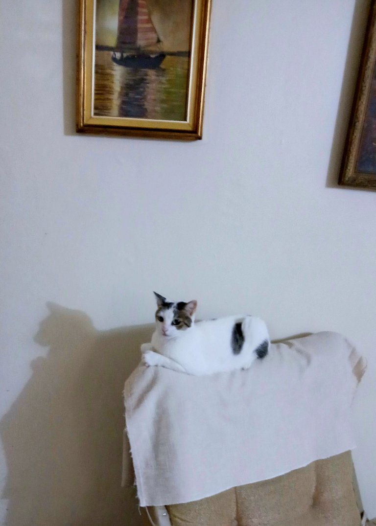 20250618_205118.jpg