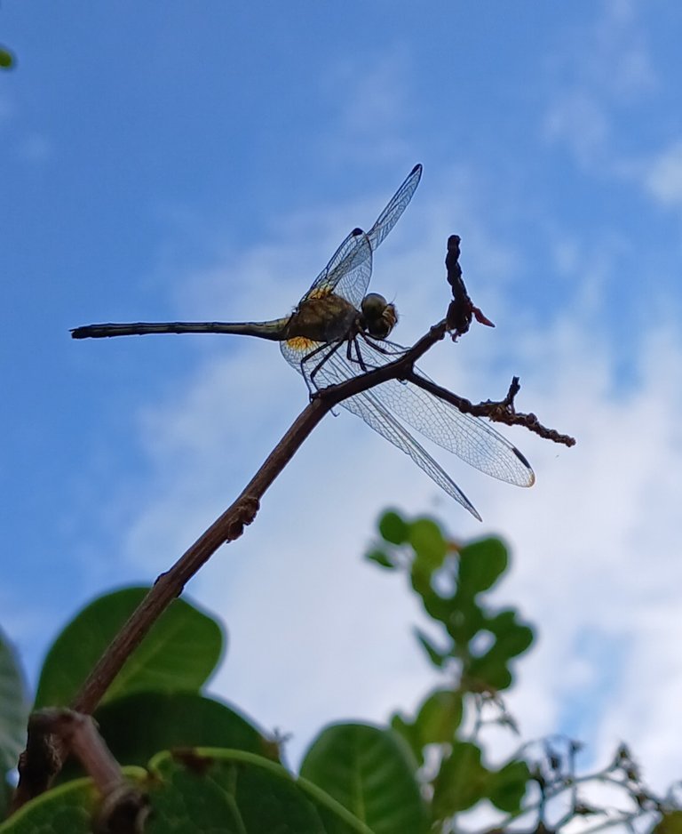 20250424_165358.jpg