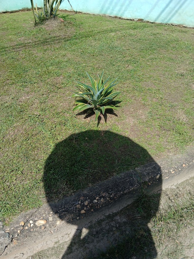 20250627_102452.jpg