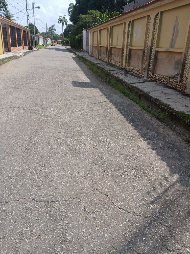 20250821_095841.jpg