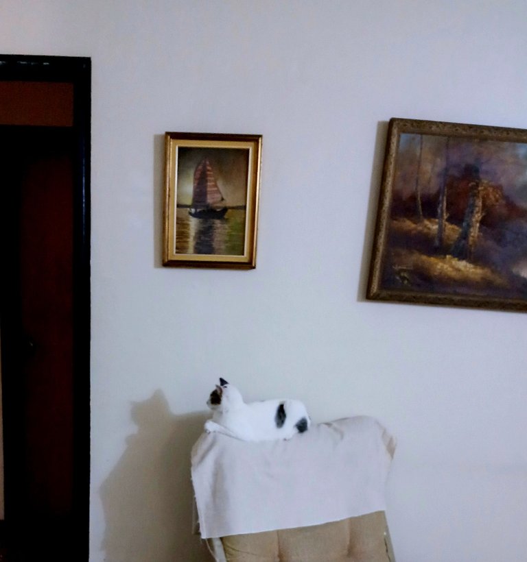 20250618_205108.jpg