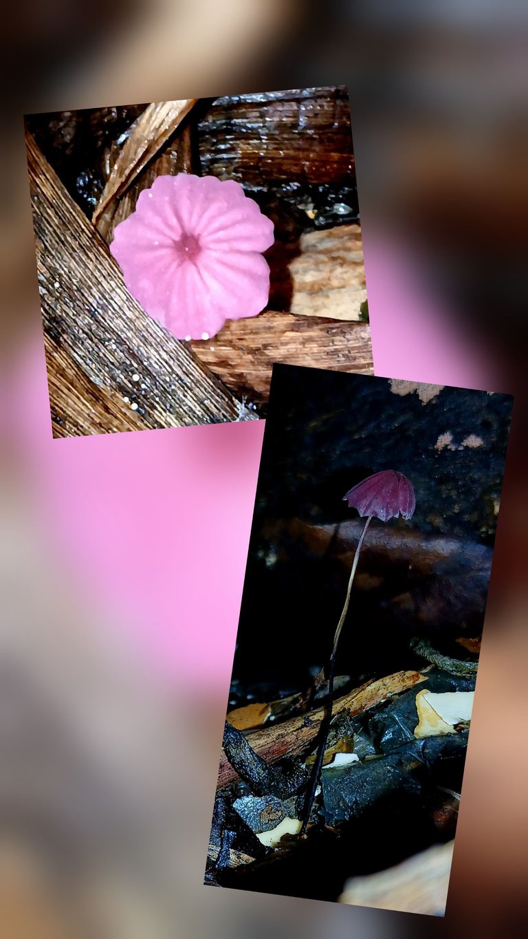 20250627_113501.jpg