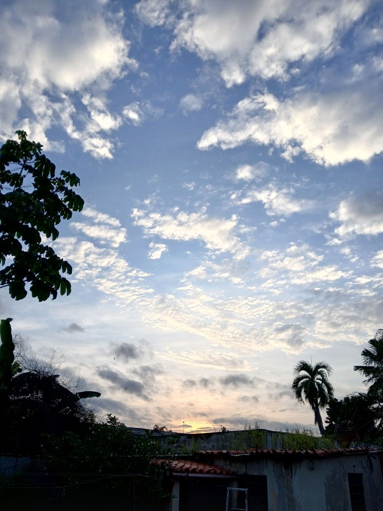 20250608_063102.jpg