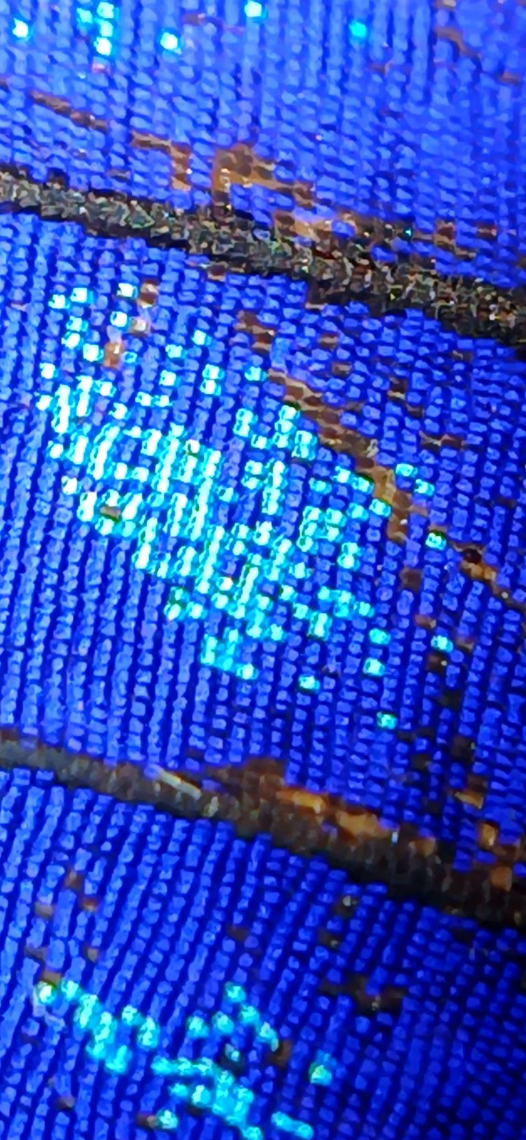 20250809_093027.jpg