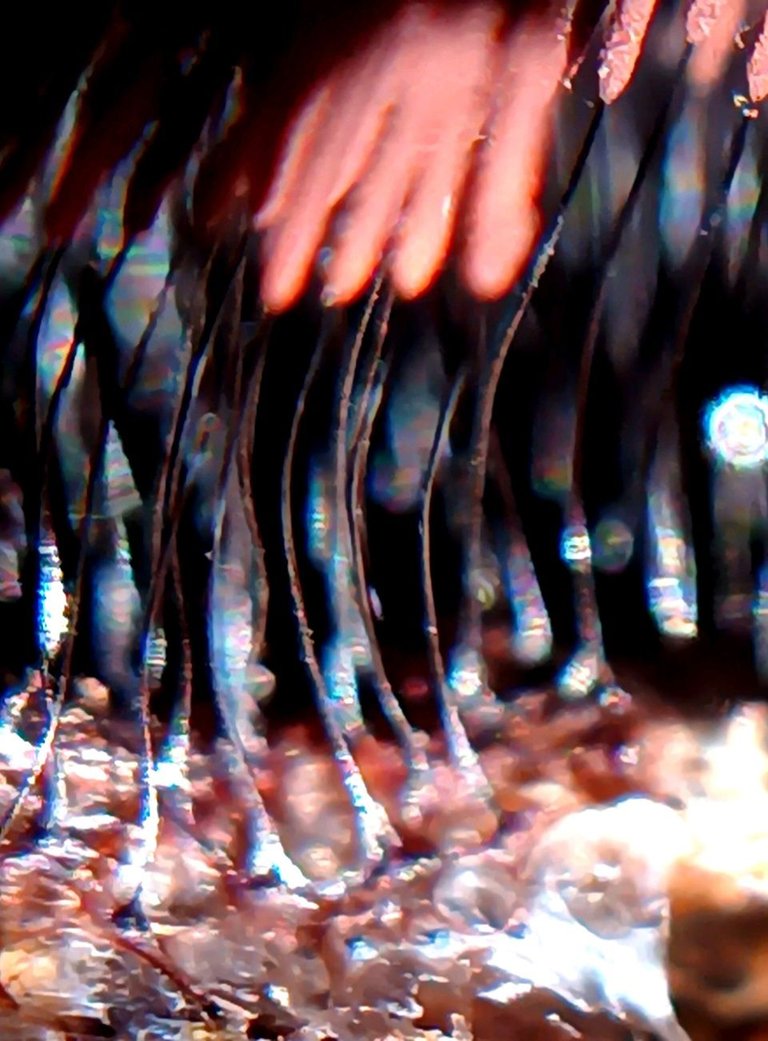 20250605_100604.jpg