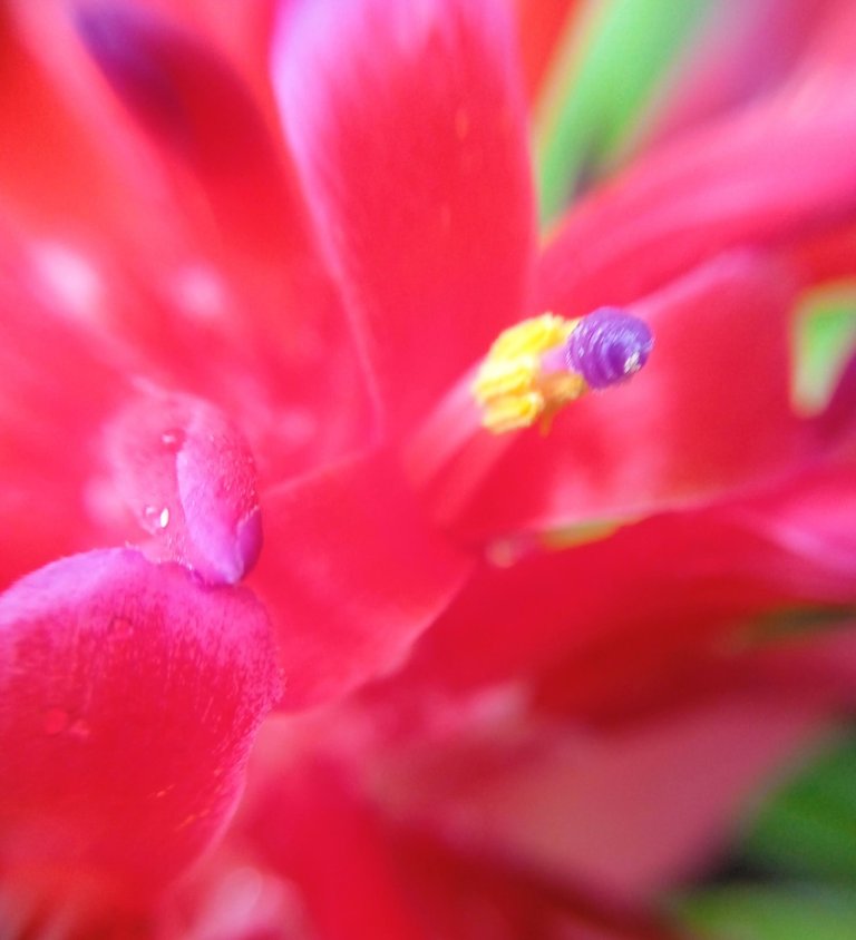 IMG_20220929_070003_1.jpg