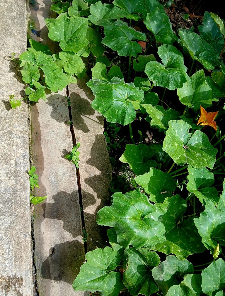 20250616_102105.jpg