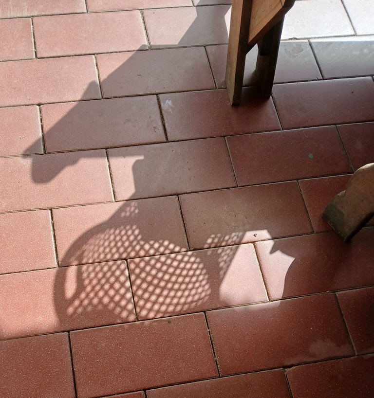 20250603_092358.jpg