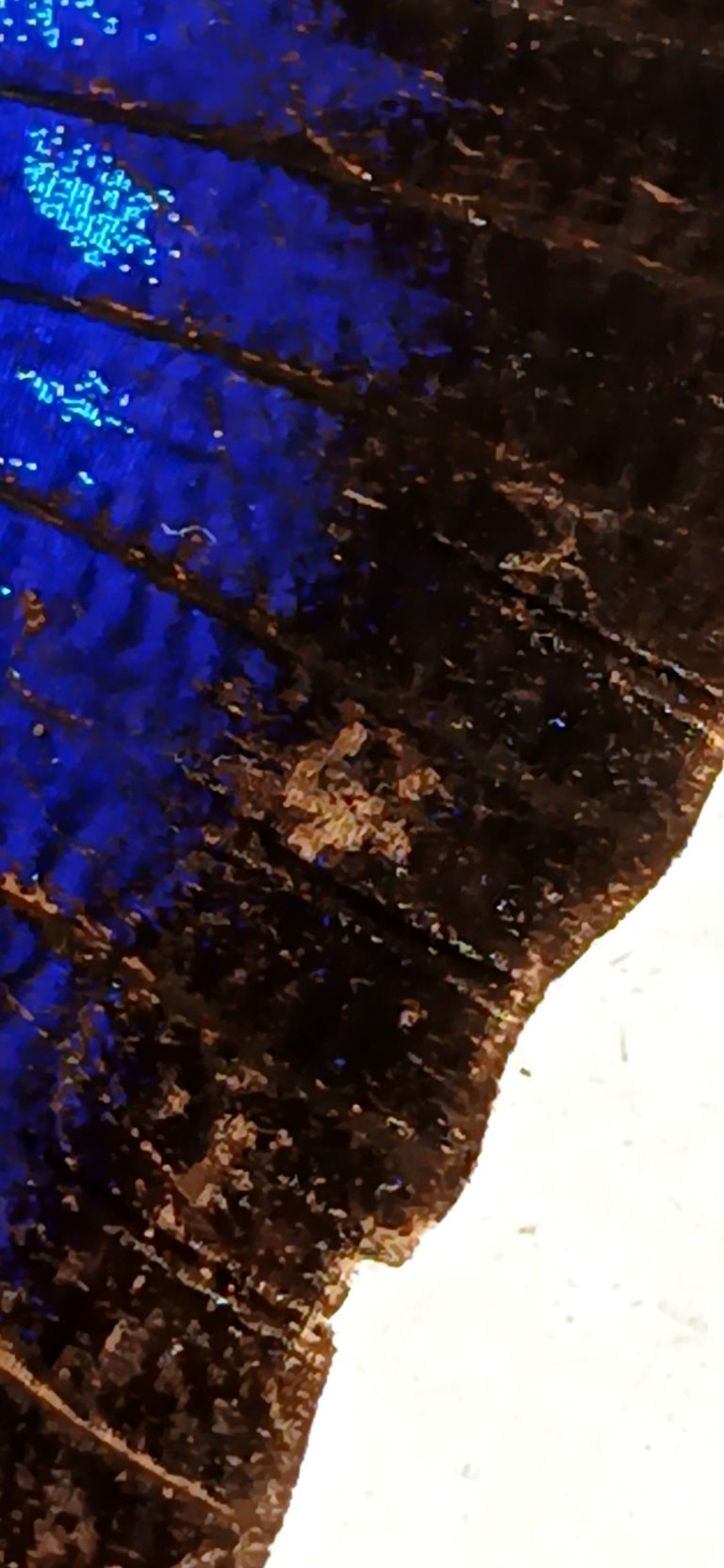 20250809_092602.jpg