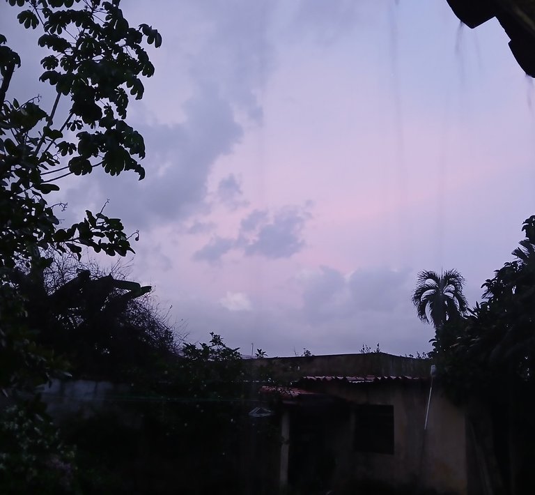 20250511_185509.jpg
