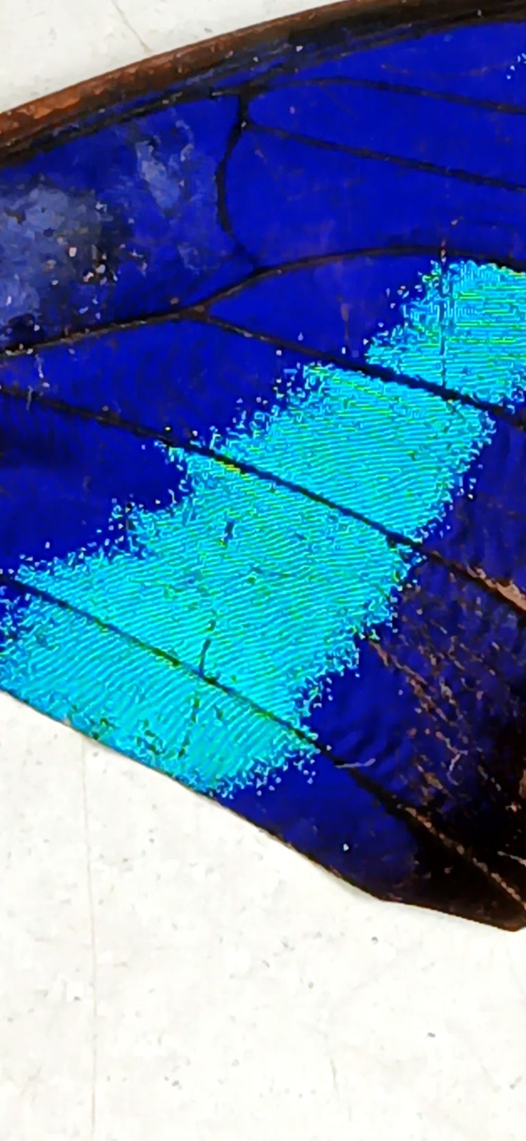 20250809_092505.jpg