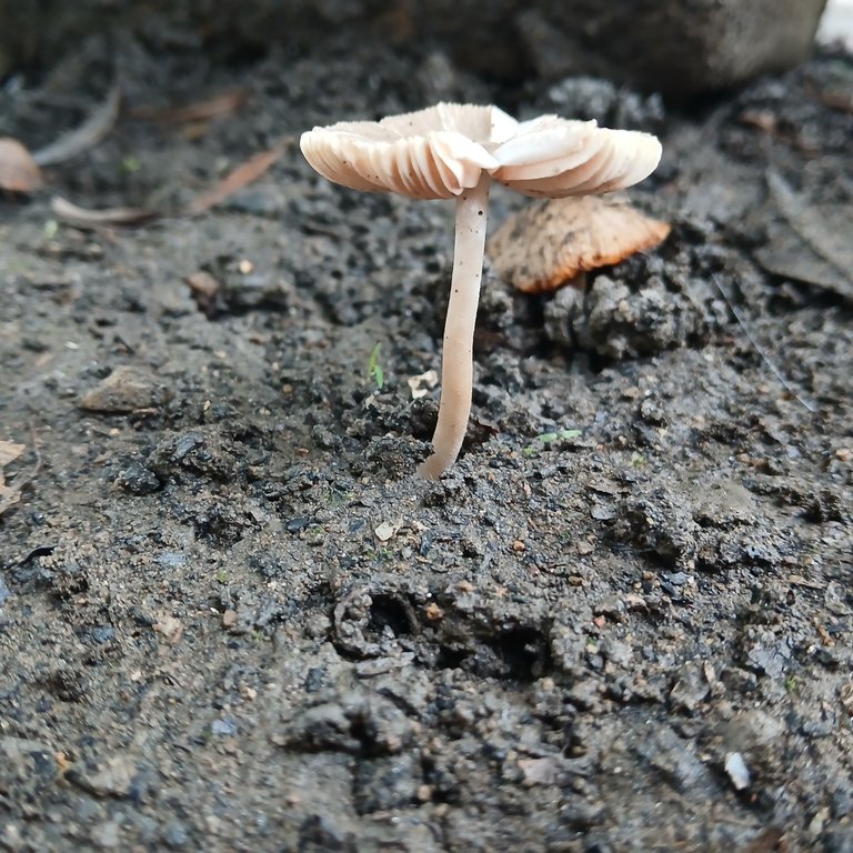 20250507_083304.jpg