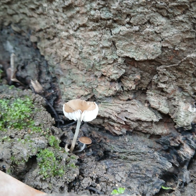 20250507_083902.jpg