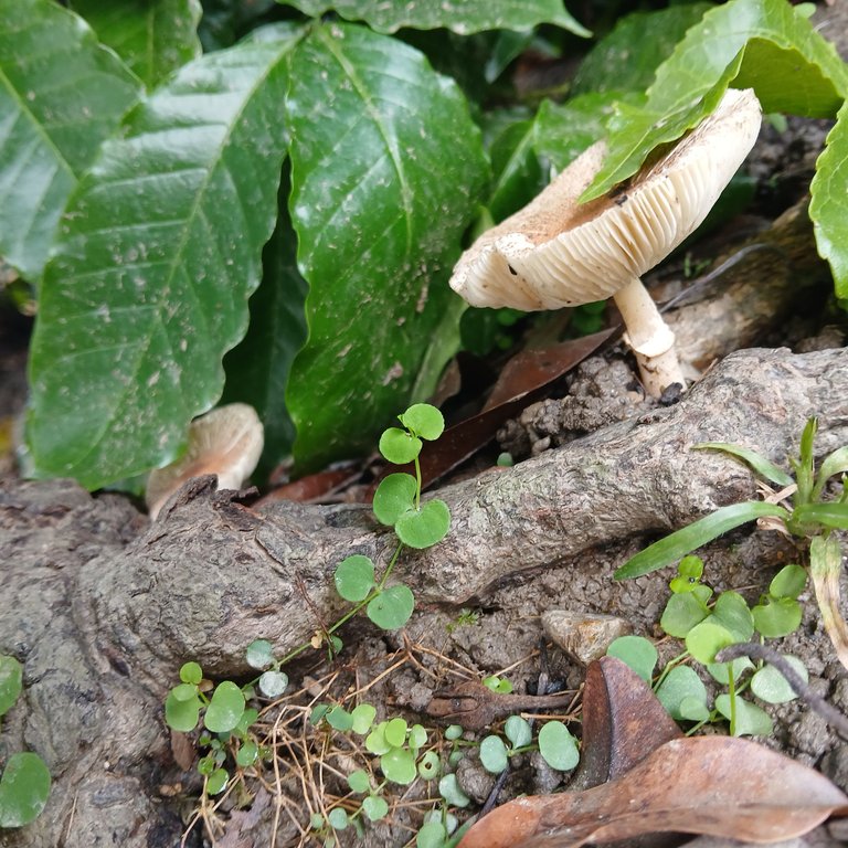 20250506_135751.jpg