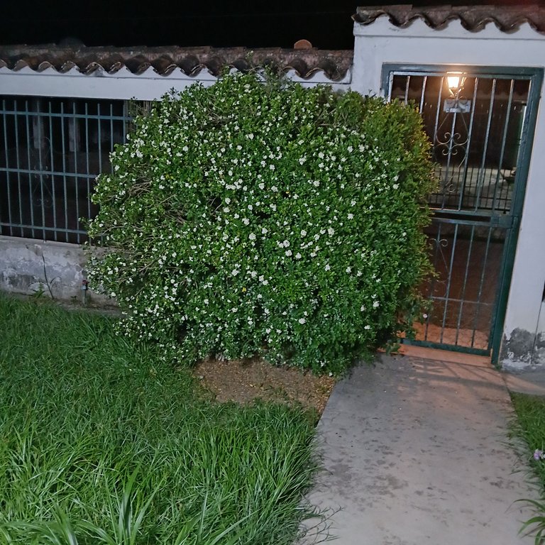 20250502_194826.jpg