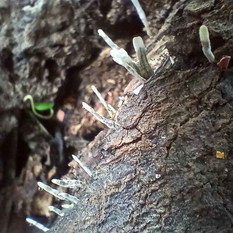 20250509_095634.jpg