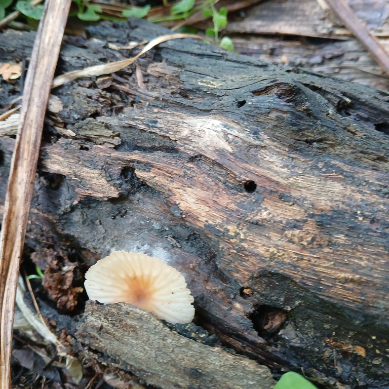 20250508_095852.jpg
