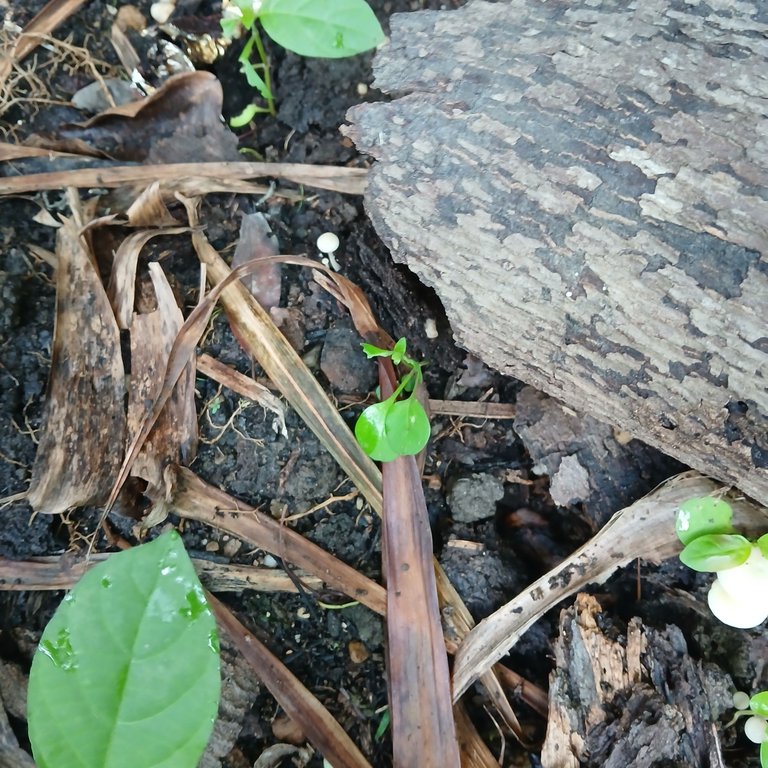 20250507_083459.jpg