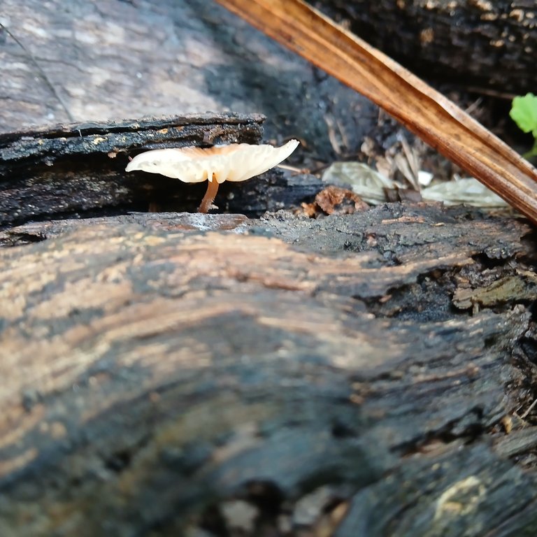 20250507_083344.jpg