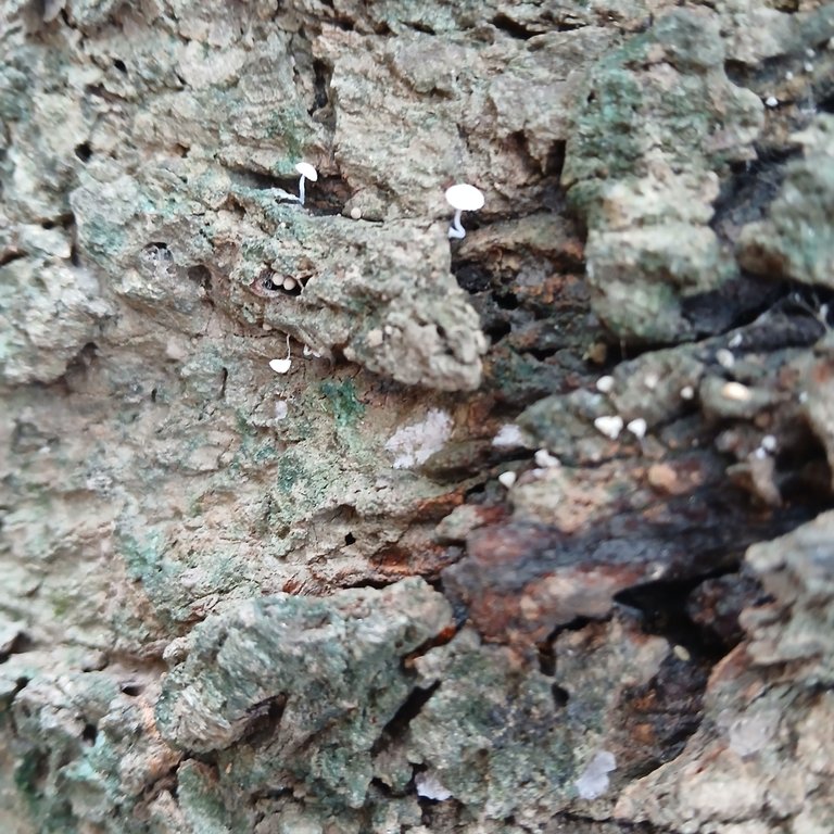 20250507_083912.jpg