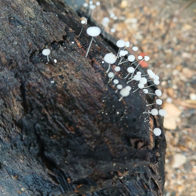 20250509_095741.jpg
