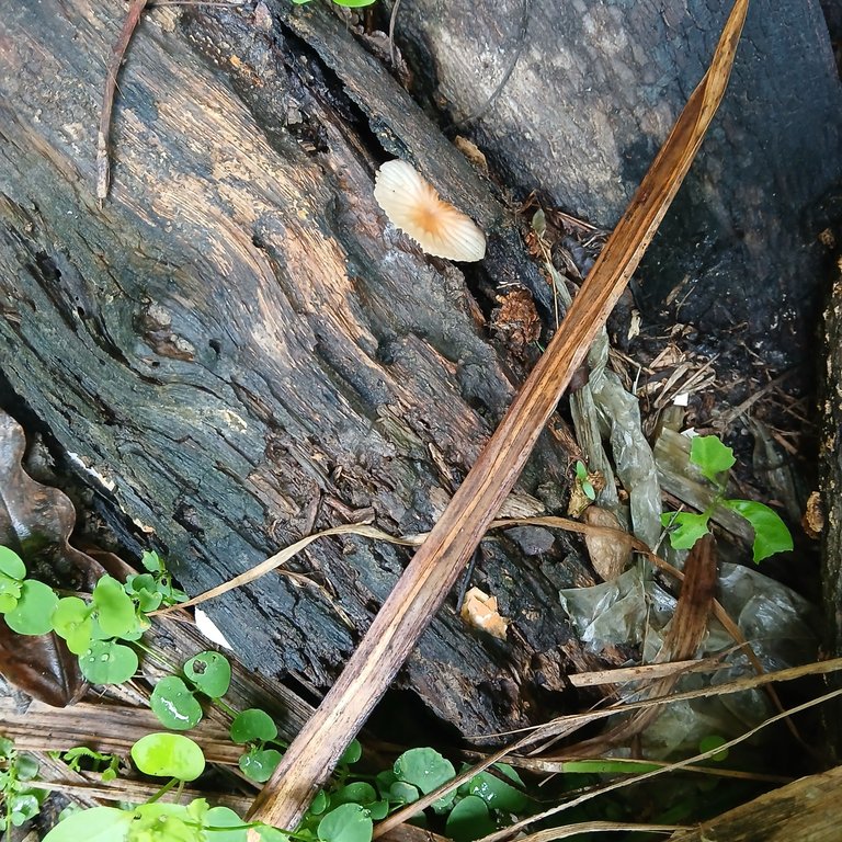 20250507_083340.jpg