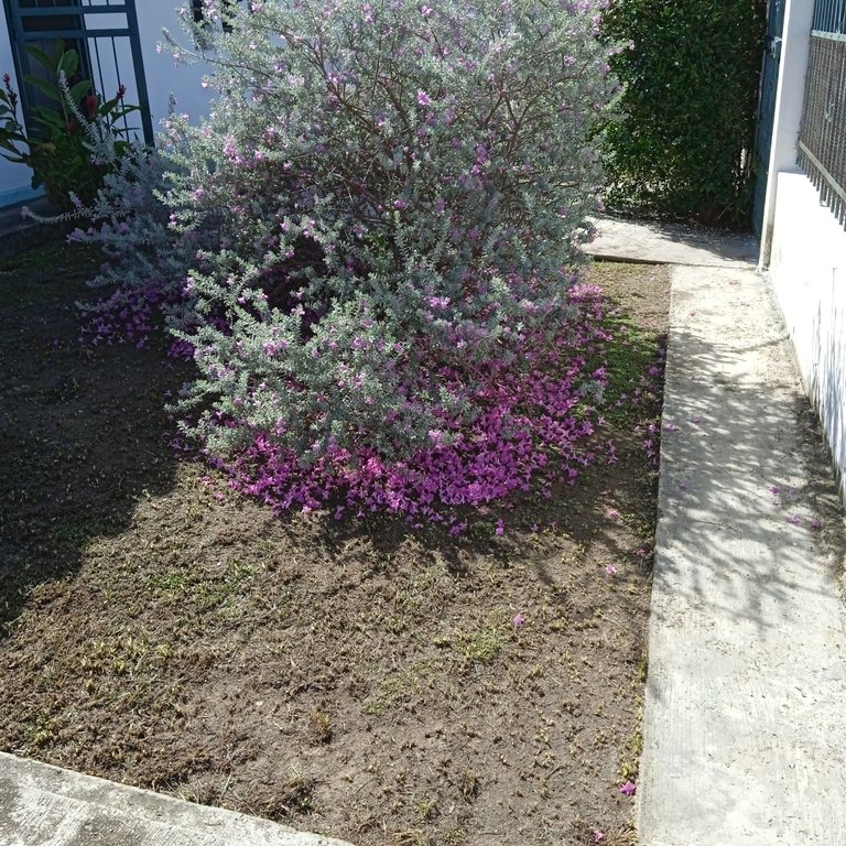 IMG_20240605_092314_1.jpg
